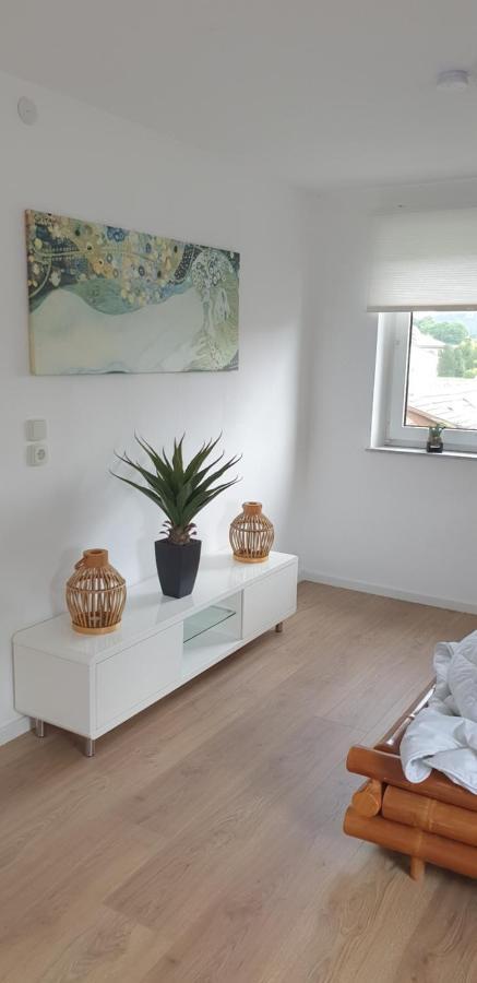 Frisch renoviert mit Dachterrasse - Genieße Ruhe und Grün nahe Neustadt Aisch Neustadt an der Aisch Exterior foto