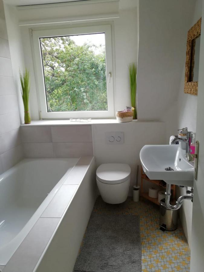 Frisch renoviert mit Dachterrasse - Genieße Ruhe und Grün nahe Neustadt Aisch Neustadt an der Aisch Exterior foto