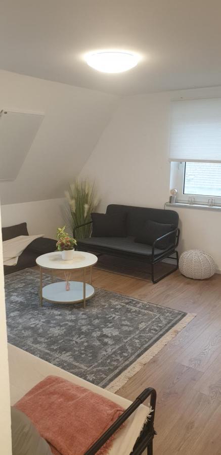 Frisch renoviert mit Dachterrasse - Genieße Ruhe und Grün nahe Neustadt Aisch Neustadt an der Aisch Exterior foto